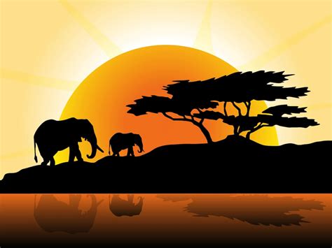 African Sunset Vector Art & Graphics | freevector.com