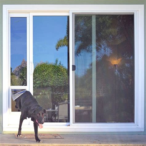 A Guide To Installing Pet Sliding Glass Door Inserts - Glass Door Ideas