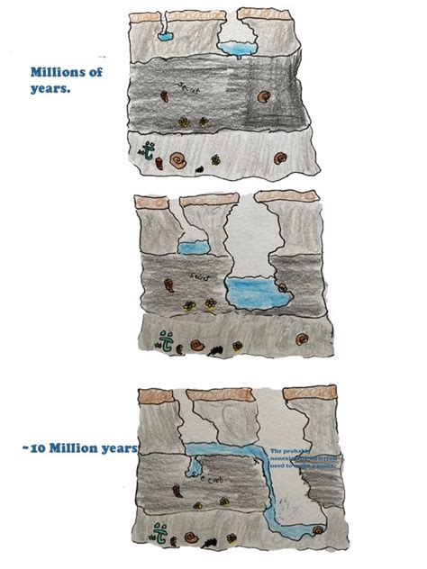 Geology Of Mammoth Cave pt. 2: Making the Cave — Alienjest Press