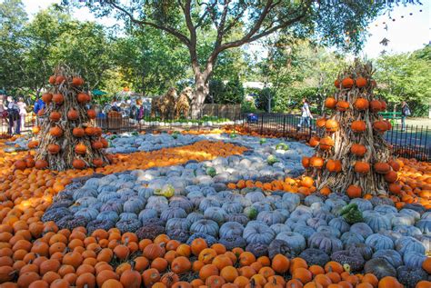 Fall at the Dallas Arboretum | Meristem