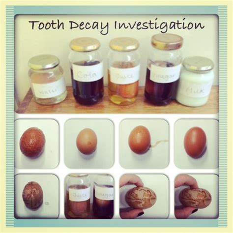 Egg Experiment - Tooth Decay for Science Fair