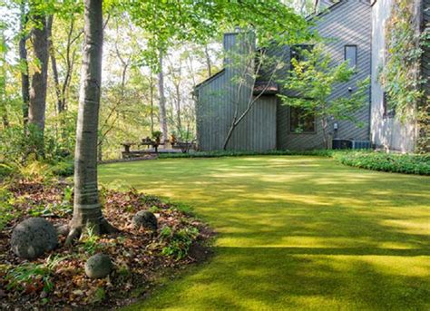 Moss garden, lawn simple, green, cool | The Arkansas Democrat-Gazette ...