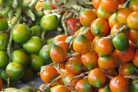 3 Amazing Costa Rican Fruits You Didn’t Know Existed - Costa Rica Villa ...