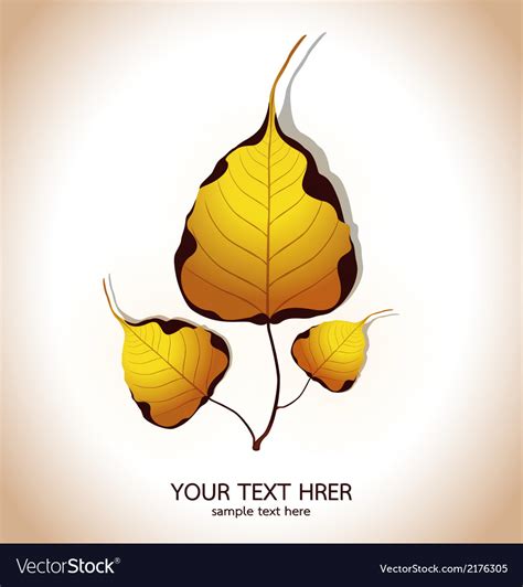 Bodhi leaf natural Royalty Free Vector Image - VectorStock