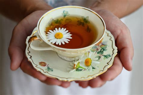 10 Incredible Chamomile Tea Benefits | I Must Read