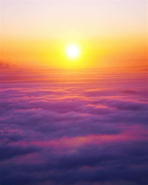 Pink Sunrise Wallpaper