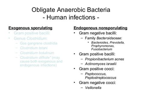 Anaerobic bacteria