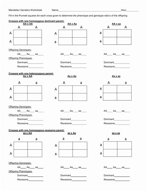 Learn About Mendelian Genetics With These Punnett Square Worksheet ...