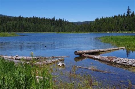 Timothy Lake - Hiking in Portland, Oregon and Washington