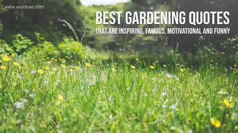 Best Gardening Quotes for National Gardening Day 2022 - WishBae.Com