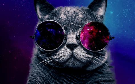 Galaxy Cat Wallpaper - WallpaperSafari