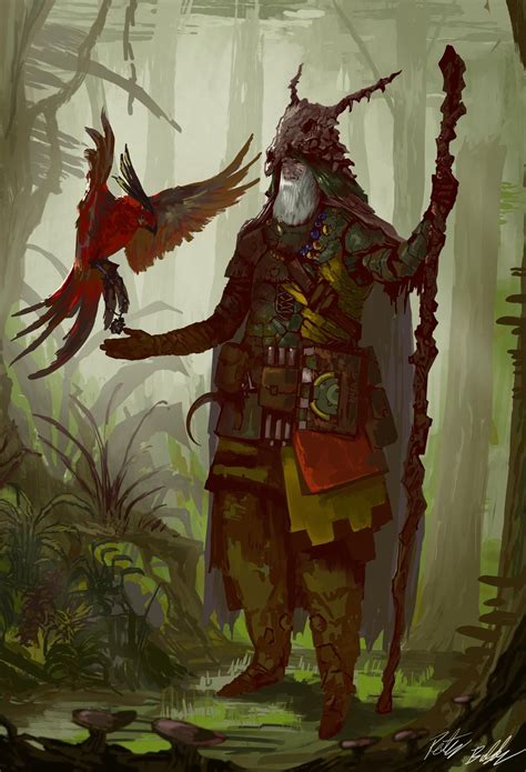 Druid by PeterPrime on DeviantArt | Illustrations de personnages ...