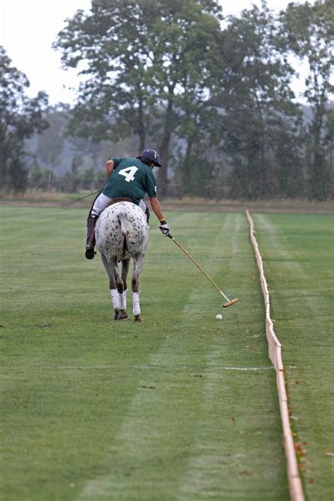 Polo Player on a Horse during a Tournament Editorial Photo - Image of ...