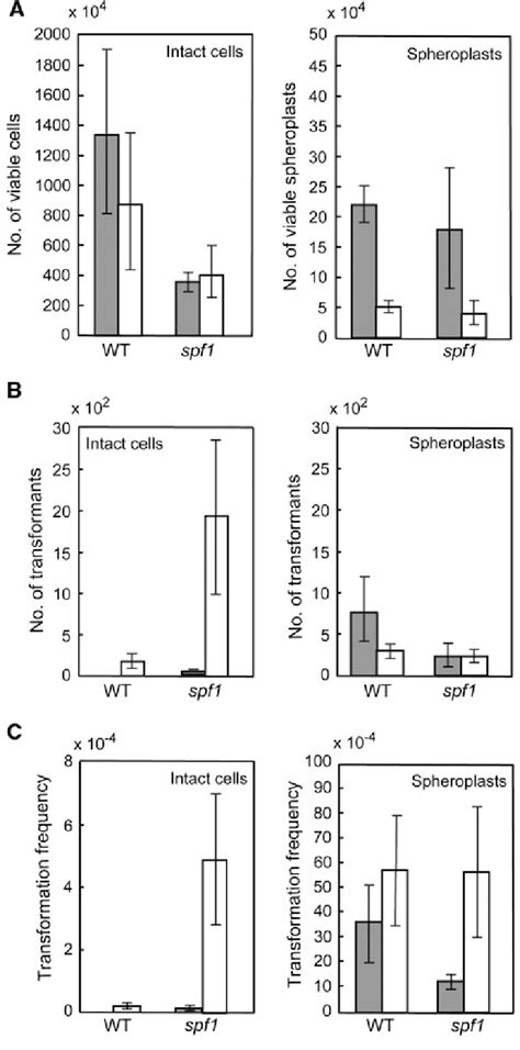 Transformation efficiency and frequency of intact cell and spheroplast ...