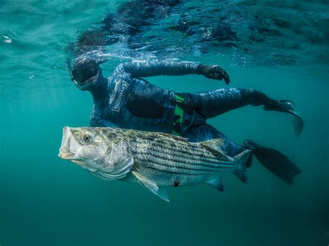 Take a stab at spearfishing with these tips | Popular Science