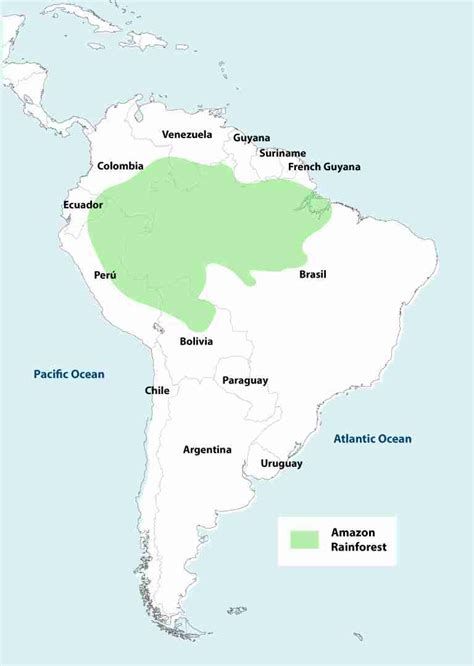 Amazon Rainforest Map | Peru Explorer