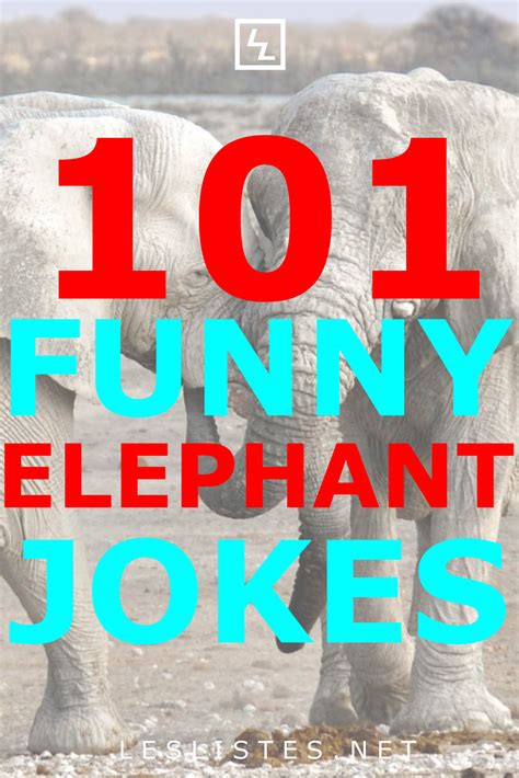 Top 101 funny elephant jokes that are so big you will lol les listes ...