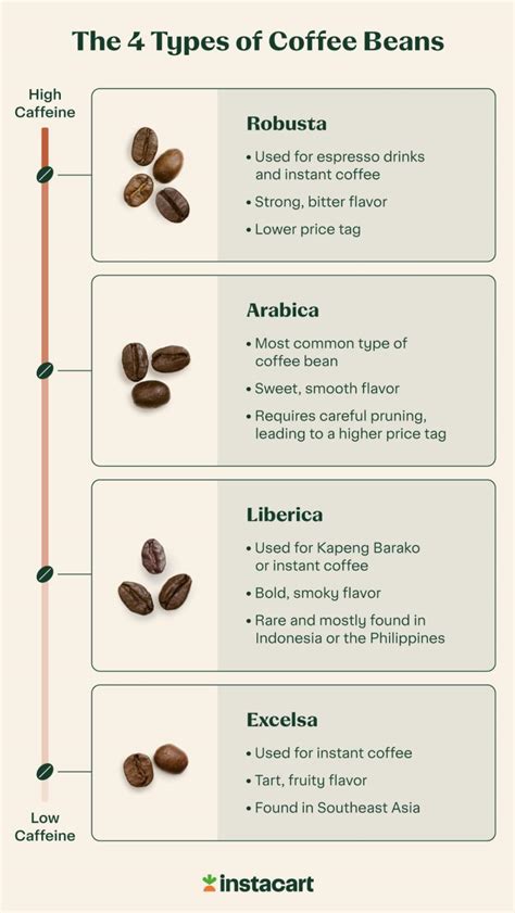 The Complete Guide to Coffee Beans: 4 Types | Daily Infographic