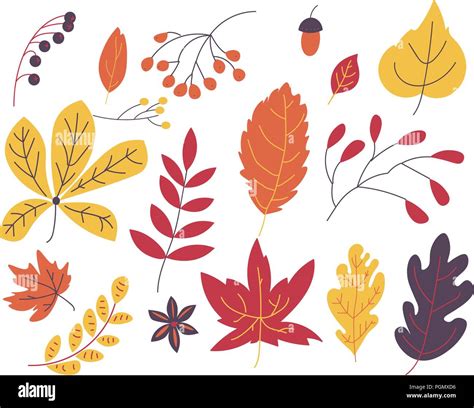 Autumn leaves vector illustration collection Stock Vector Image & Art ...