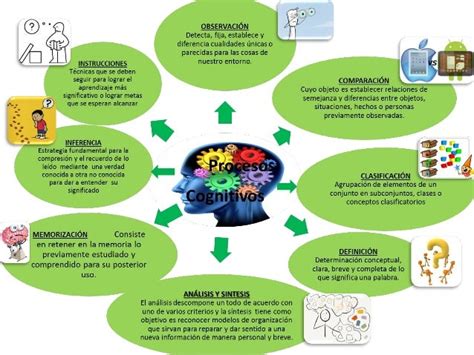 Procesos cognitivos básicos