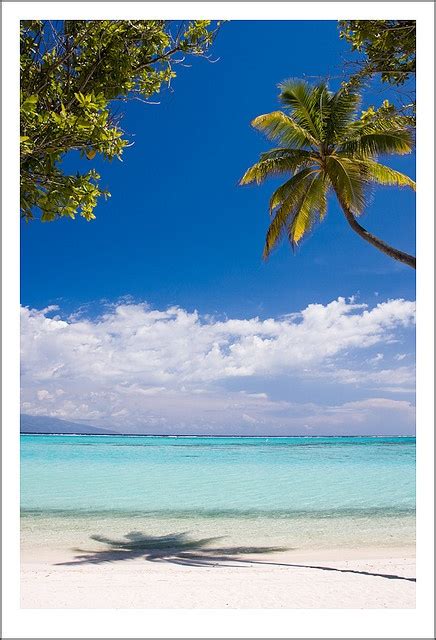 Las playas de Moorea / Moorea beaches | Beautiful beaches, Beach ...