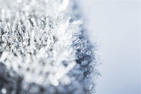 Royalty-Free photo: Morning Hoar Frost Frozen Snowflakes Close Up | PickPik