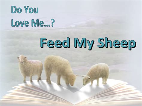 Kjv Feed My Sheep Oultet Website | www.gbu-presnenskij.ru