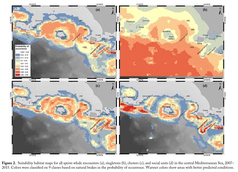 Habitat suitability modeling in different sperm whale social groups ...