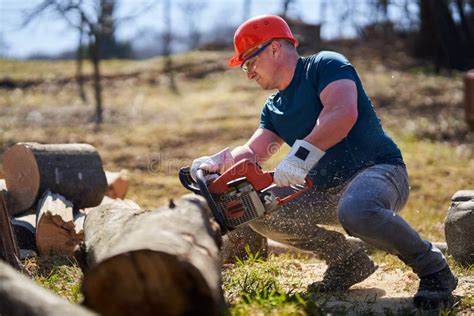 Lumberjack with Chainsaw Working Stock Image - Image of logging ...