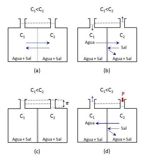 Fundamentos De La ósmosis Inversa Para El Tratamiento Del Agua