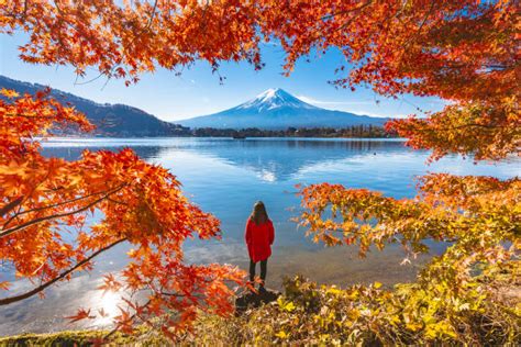 Autumn in Japan: Where to admire vivid fall foliage in Japan