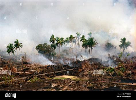 Tsunami Banda Aceh Sumatra Indonesia 2004 Stock Photo: 4120666 - Alamy