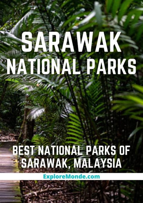 Sarawak: 6 Best National Parks Of Sarawak, Malaysia To Go Wild In!