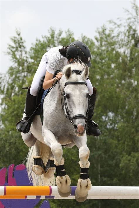 Horse and Rider on a Horse in Show Jumping Competition Stock Image ...