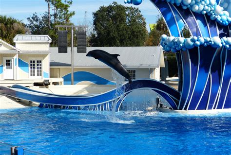 Where to Buy Cheap Seaworld Orlando Tickets