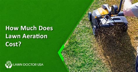 How Much Does Lawn Aeration Cost?