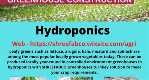 Commercial hydroponics Greenhouse – Farmers Market Kenya