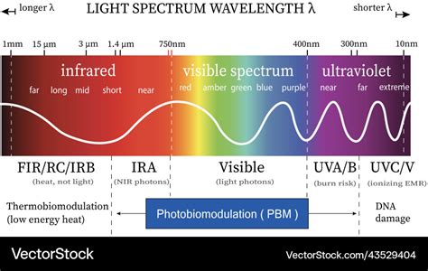 Light spectrum chart Royalty Free Vector Image