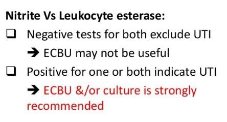 Leukocyte Esterase - Urine, What is?, Clinical Significance