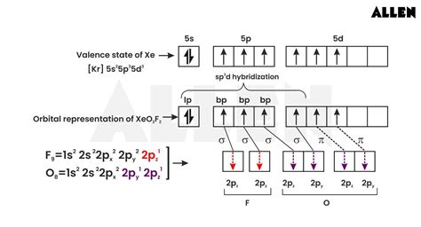 Understanding the Hybridization of Xenon Dioxide Difluoride, Structure ...