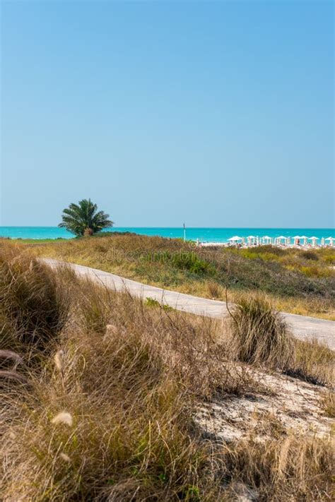 Saadiyat Public Beach, Saadiyat Island, Abu Dhabi, UAE Editorial Image ...