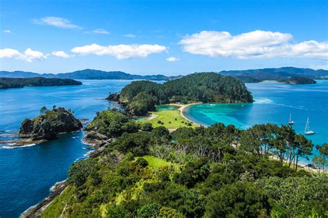 Bay of Islands Tour: Swim with Dolphins in New Zealand