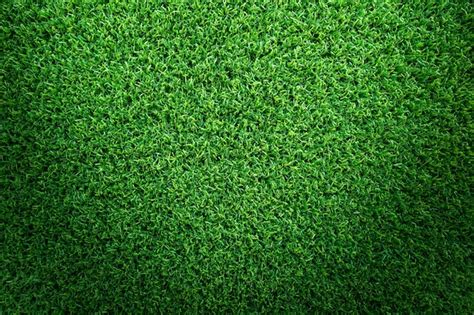 Premium Photo | Grass texture background for golf course