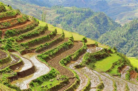 Rice Terraces of Sapa in Vietnam Stock Image - Image of sapa, rice ...