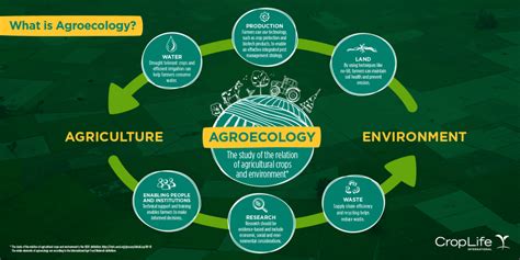 What is Agroecology? | CropLife International