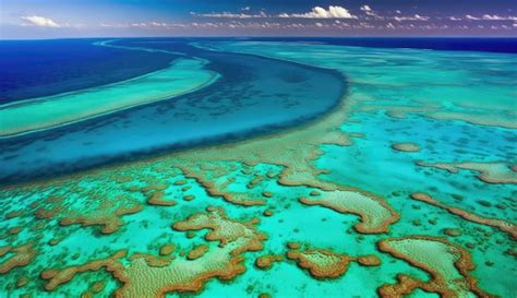 Premium AI Image | great barrier reef australia