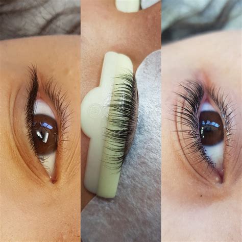 Lash Lift Kit – Elite Lash Supplies & Training