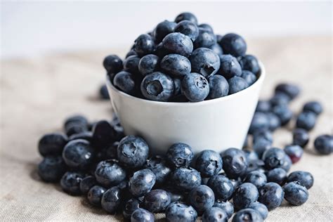 Bilberry vs. Blueberry: What Is the Difference? - SelfHacked