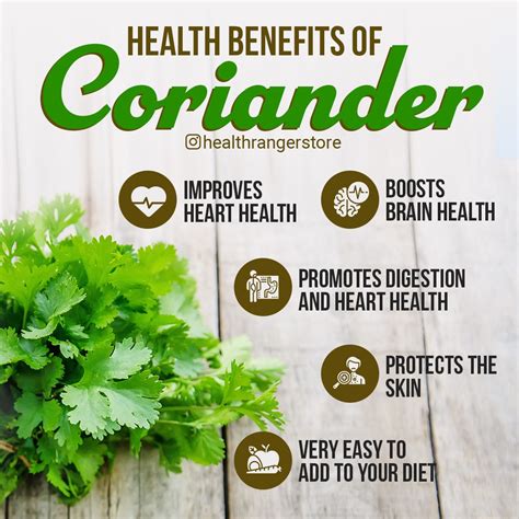 Heart Health, Brain Health, Garden Compost, Coriander, Health Benefits ...