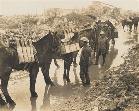 Horse power in the First World War | National Army Museum